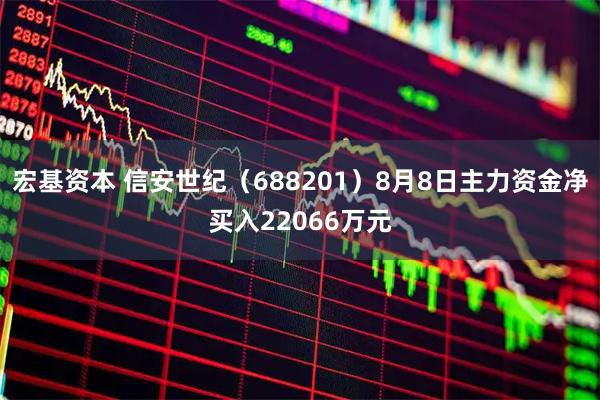 宏基资本 信安世纪（688201）8月8日主力资金净买入22066万元