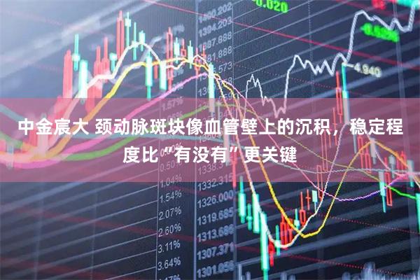 中金宸大 颈动脉斑块像血管壁上的沉积，稳定程度比“有没有”更关键