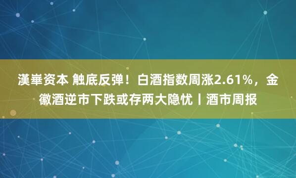 漢崋资本 触底反弹！白酒指数周涨2.61%，金徽酒逆市下跌或存两大隐忧丨酒市周报